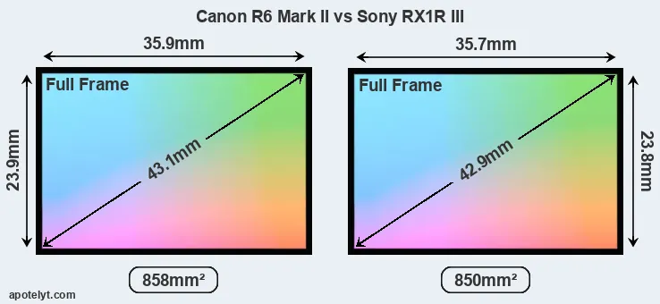Canon R6 Mark II and Sony RX1R III sensor measures