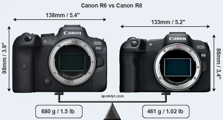 Size Canon R6 vs Canon R8