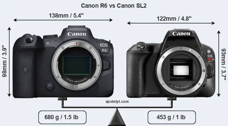 Size Canon R6 vs Canon SL2