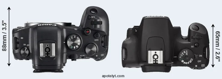 Compare R6 versus XS top