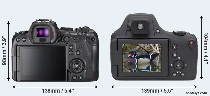 Comparison R6 or AZ901 rear