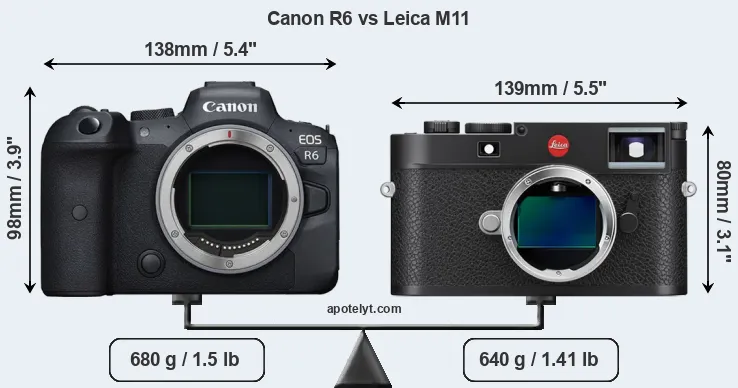 Size Canon R6 vs Leica M11