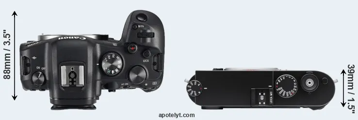Compare R6 versus M11 top
