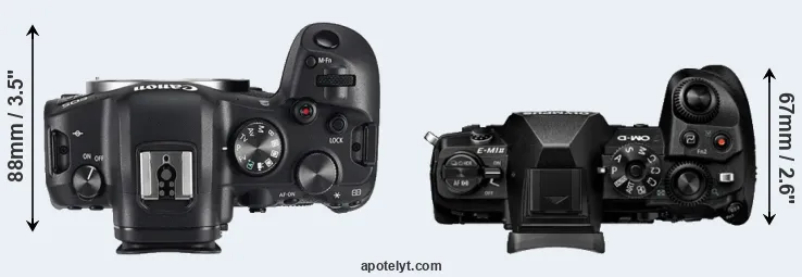 Compare R6 versus E-M1 II top
