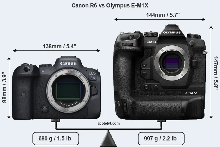 Size Canon R6 vs Olympus E-M1X