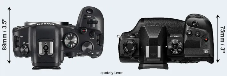 Compare R6 versus E-M1X top