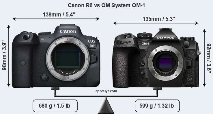 Size Canon R6 vs OM System OM-1