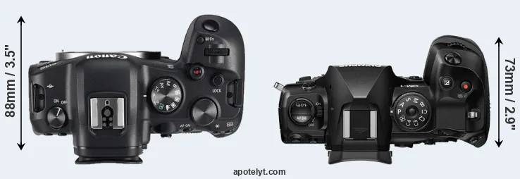 Compare R6 versus OM-1 top