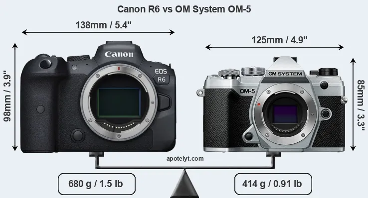 Size Canon R6 vs OM System OM-5