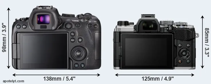 Comparison R6 or OM-5 rear