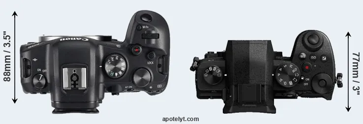 Compare R6 versus G95 top