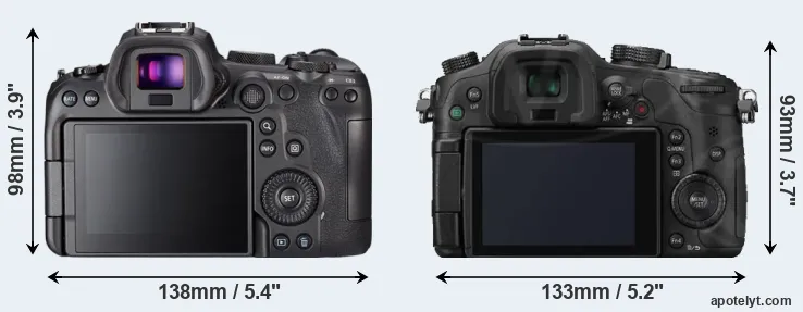 Comparison R6 or GH3 rear
