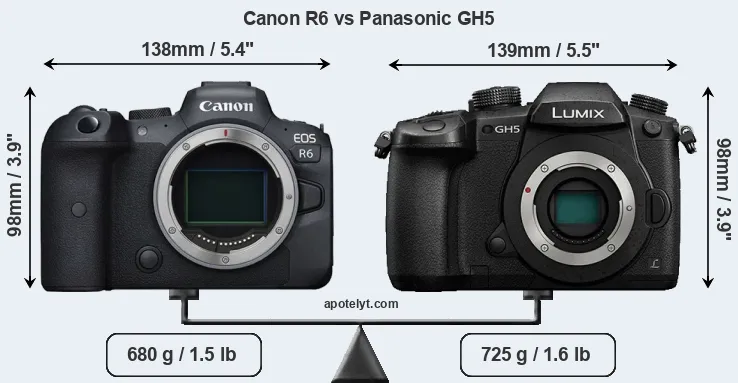 Size Canon R6 vs Panasonic GH5