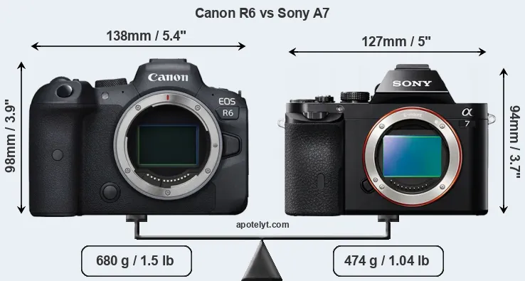 Size Canon R6 vs Sony A7