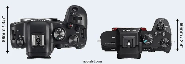 Compare R6 versus A7R II top