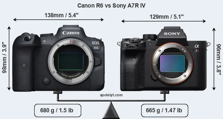 Size Canon R6 vs Sony A7R IV