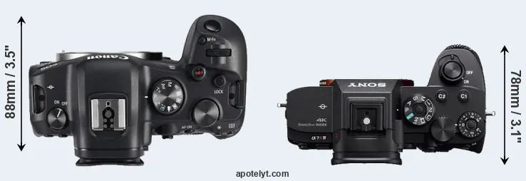 Compare R6 versus A7R IV top