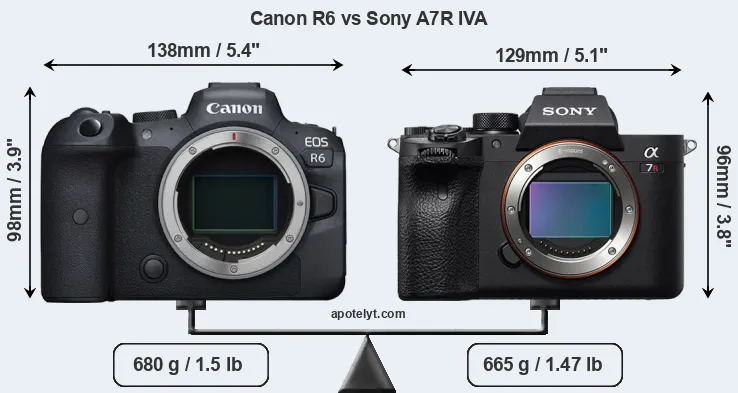 Size Canon R6 vs Sony A7R IVA