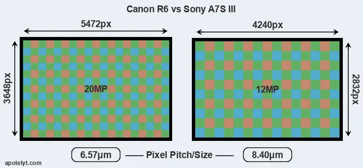 R6 versus A7S III MP