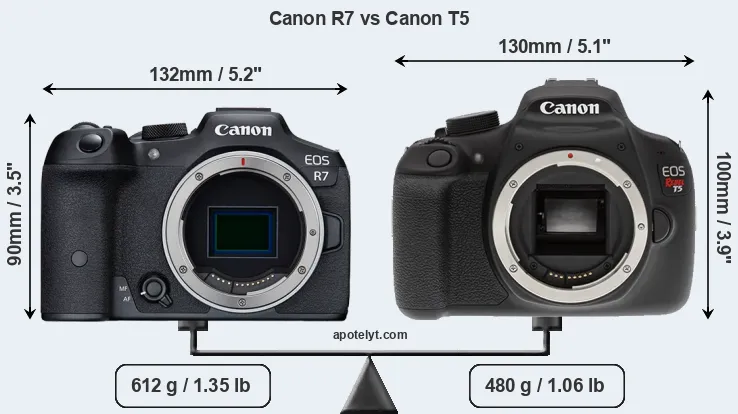 Size Canon R7 vs Canon T5