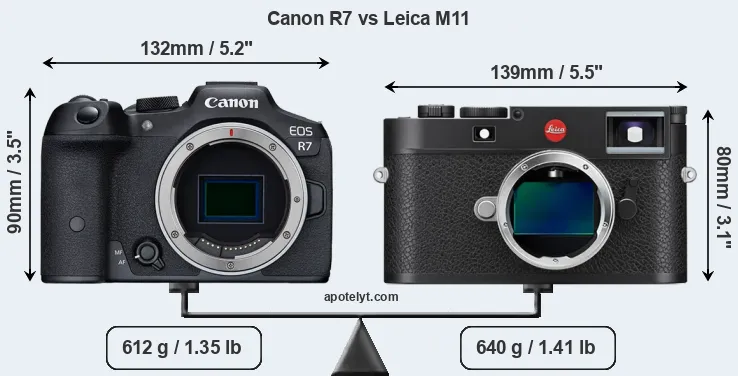 Size Canon R7 vs Leica M11