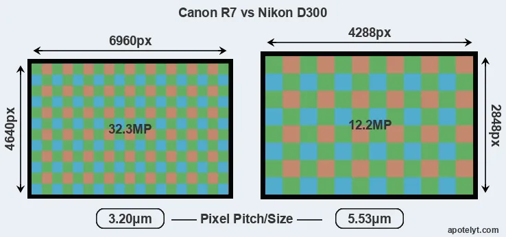 R7 versus D300 MP