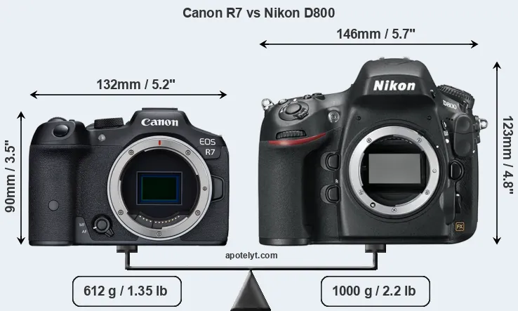 Size Canon R7 vs Nikon D800