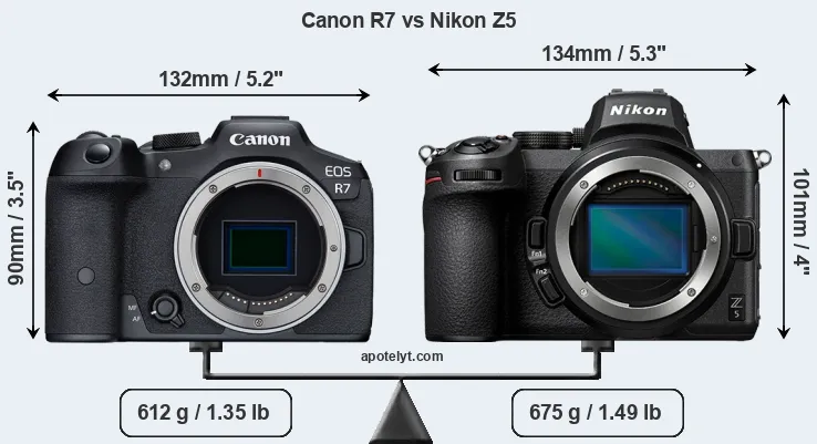 Size Canon R7 vs Nikon Z5