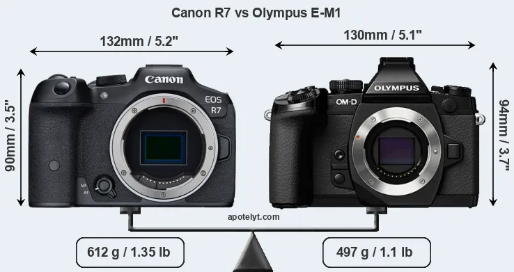 Size Canon R7 vs Olympus E-M1