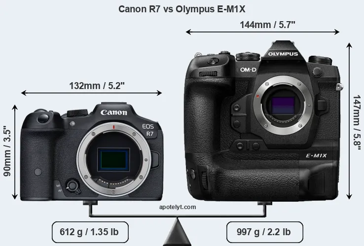 Size Canon R7 vs Olympus E-M1X