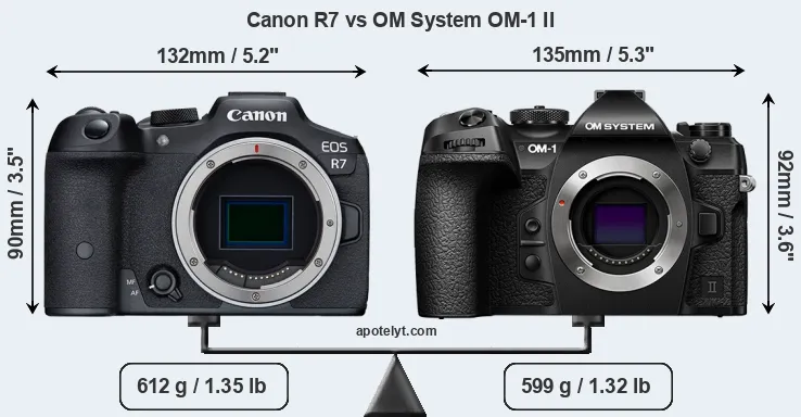 Size Canon R7 vs OM System OM-1 II