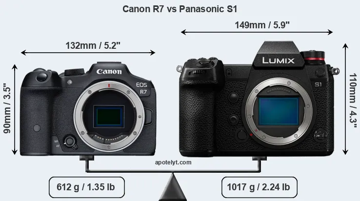 Size Canon R7 vs Panasonic S1