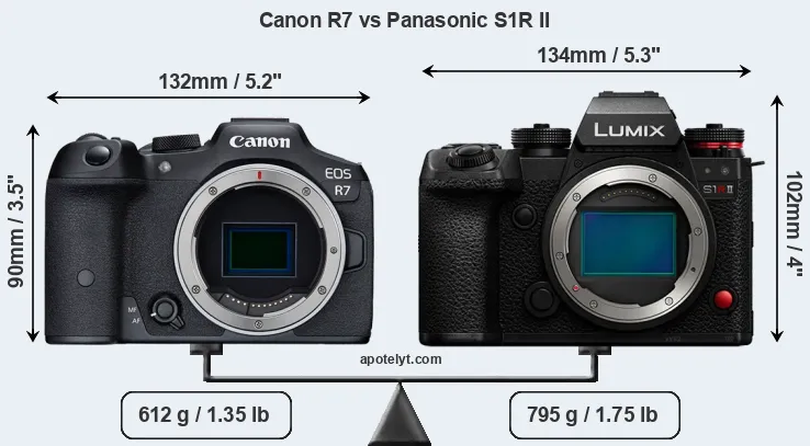 Size Canon R7 vs Panasonic S1R II