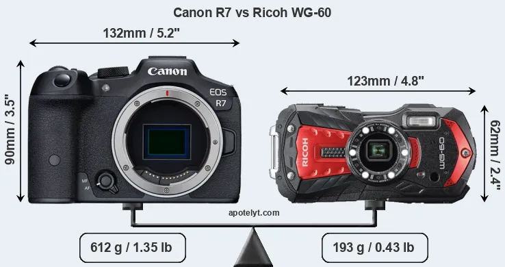 Size Canon R7 vs Ricoh WG-60