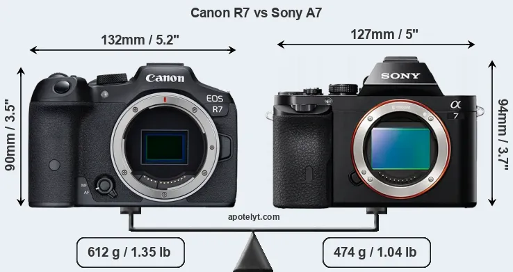 Size Canon R7 vs Sony A7