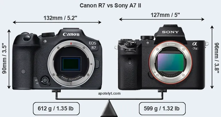 Size Canon R7 vs Sony A7 II