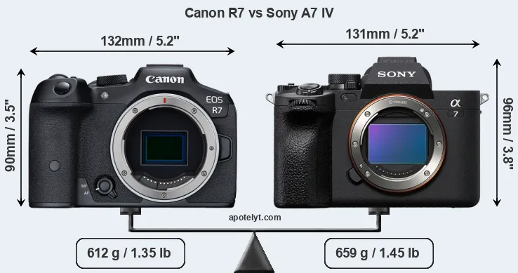 Size Canon R7 vs Sony A7 IV