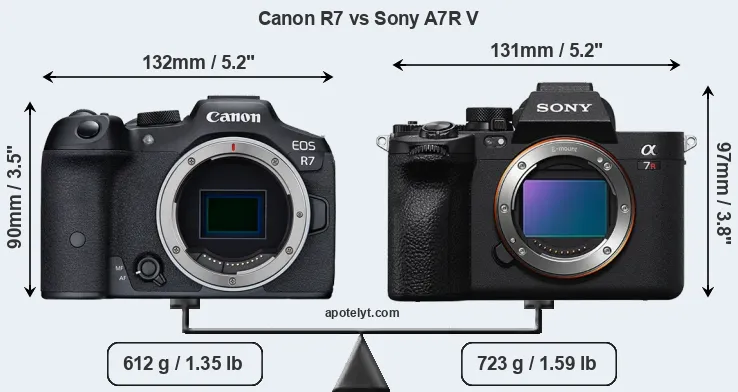 Size Canon R7 vs Sony A7R V