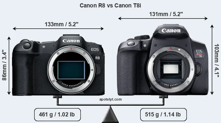 Size Canon R8 vs Canon T8i