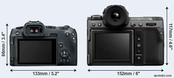 Comparison R8 or GFX 100 II rear