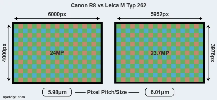 R8 versus M Typ 262 MP