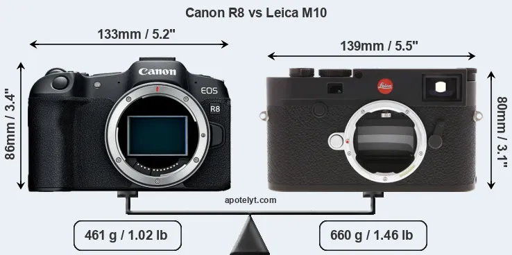 Size Canon R8 vs Leica M10