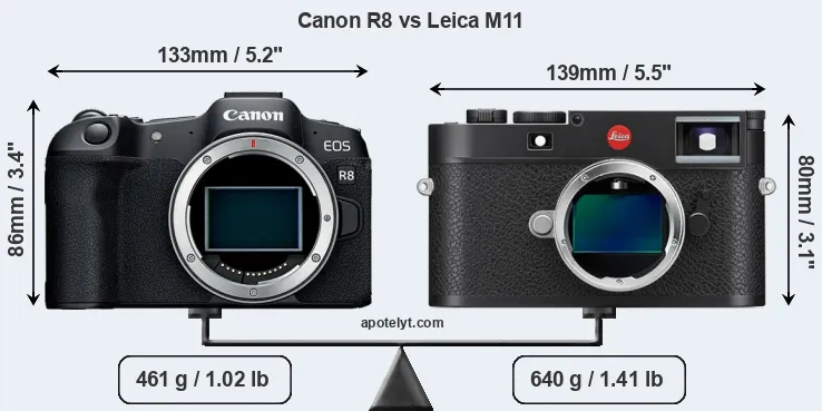 Size Canon R8 vs Leica M11
