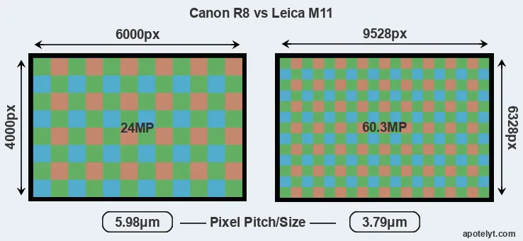 R8 versus M11 MP