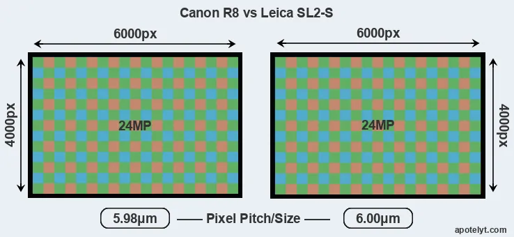 R8 versus Leica SL2-S MP