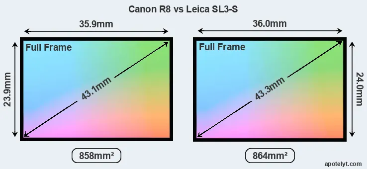 Canon R8 and Leica SL3-S sensor measures