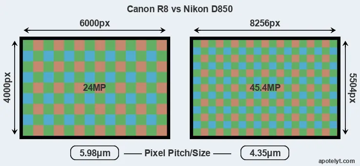 R8 versus D850 MP