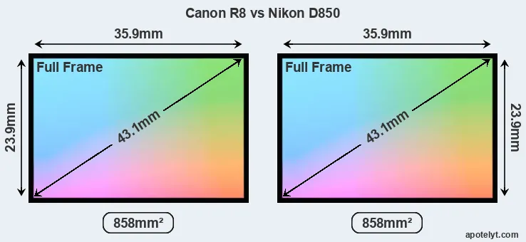 Canon R8 and Nikon D850 sensor measures