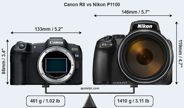 Size Canon R8 vs Nikon P1100
