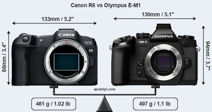 Size Canon R8 vs Olympus E-M1